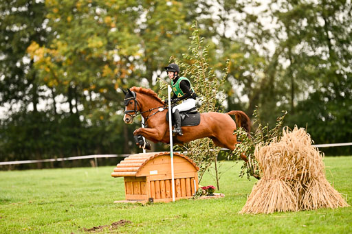 9-12.10.2025 Ströhen | Lenja Reitmann - Konstantin van Orchid_06 