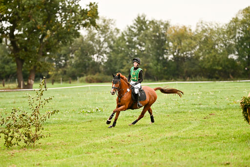 9-12.10.2025 Ströhen | Lenja Reitmann - Konstantin van Orchid_10 