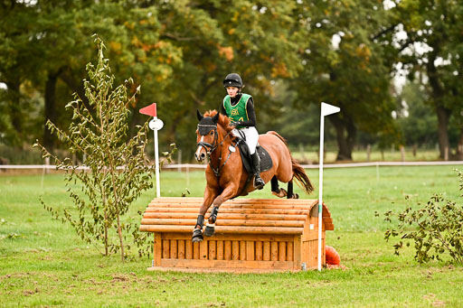 9-12.10.2025 Ströhen | Lenja Reitmann - Konstantin van Orchid_13 