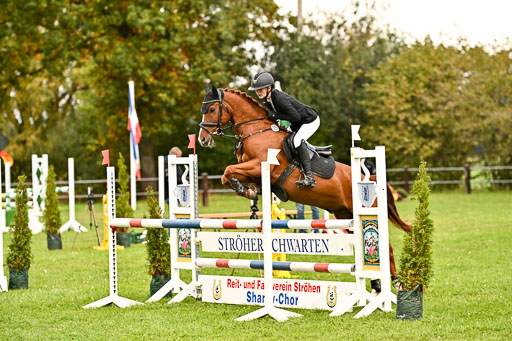 9-12.10.2025 Ströhen | Lenja Reitmann - Konstantin van Orchid_24 