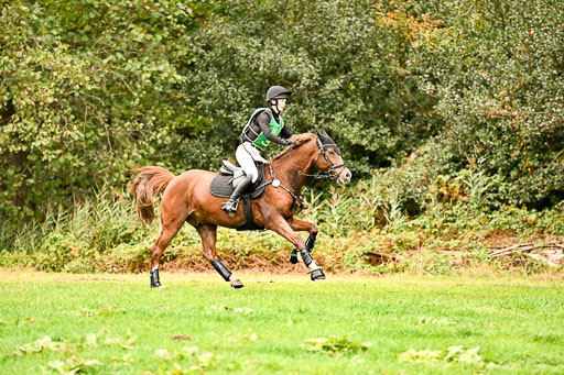 9-12.10.2025 Ströhen | Lenja Reitmann - Orlando_04 