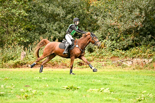 9-12.10.2025 Ströhen | Lenja Reitmann - Orlando_05 