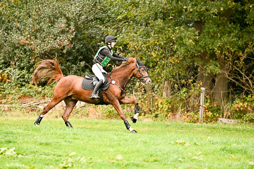 9-12.10.2025 Ströhen | Lenja Reitmann - Orlando_06 