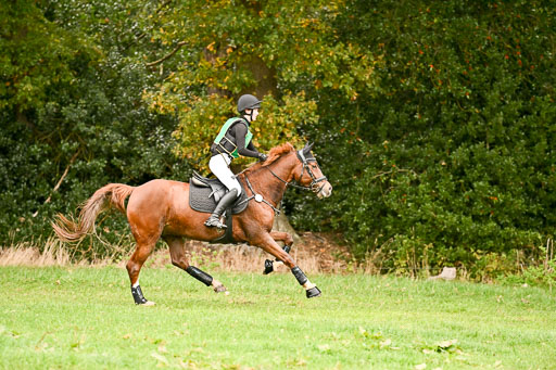 9-12.10.2025 Ströhen | Lenja Reitmann - Orlando_07 