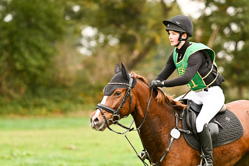 9-12.10.2025 Ströhen | Lenja Reitmann - Orlando_16 