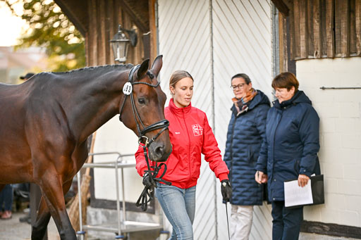 9-12.10.2025 Ströhen | Mina Sophie Hildebrandt - Kyndra_24 