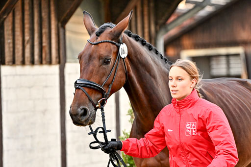 9-12.10.2025 Ströhen | Mina Sophie Hildebrandt - Kyndra_25 