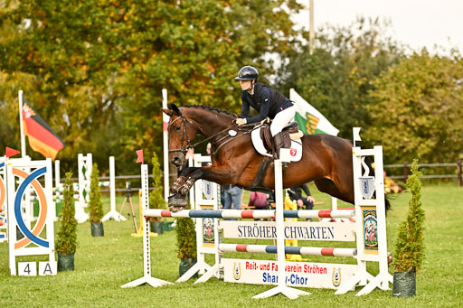 9-12.10.2025 Ströhen | Mina Sophie Hildebrandt - Kyndra_28 