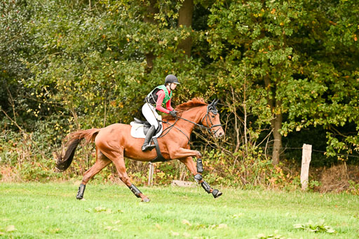 9-12.10.2025 Ströhen | Nele Reineck - Visa _01 