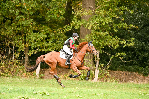 9-12.10.2025 Ströhen | Nele Reineck - Visa _02 