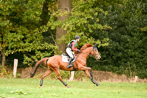 9-12.10.2025 Ströhen | Nele Reineck - Visa _03 