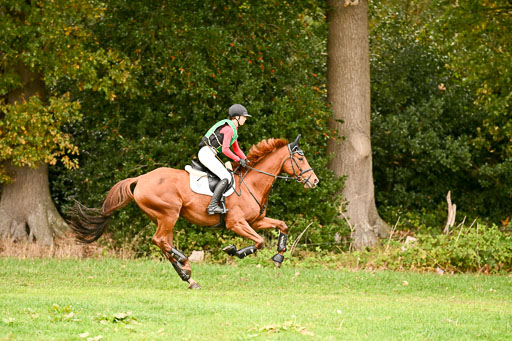 9-12.10.2025 Ströhen | Nele Reineck - Visa _04 