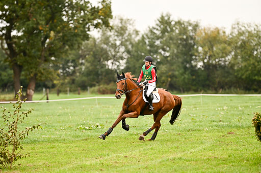 9-12.10.2025 Ströhen | Nele Reineck - Visa _08 