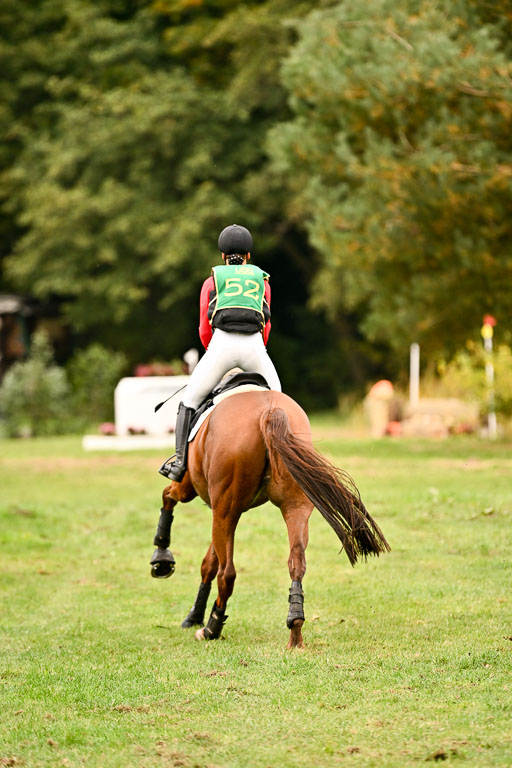 9-12.10.2025 Ströhen | Nele Reineck - Visa _13 