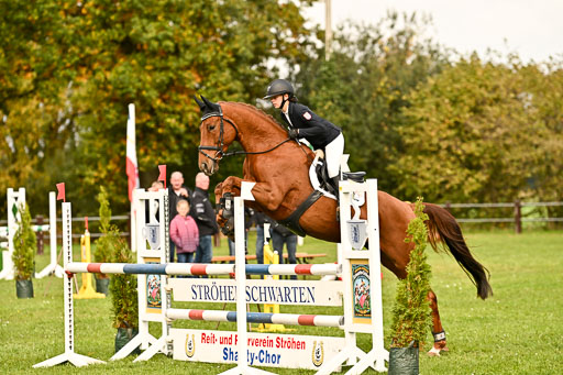 9-12.10.2025 Ströhen | Nele Reineck - Visa _16 