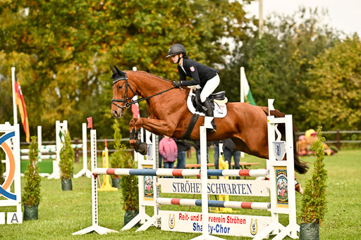 9-12.10.2025 Ströhen | Nele Reineck - Visa _17 