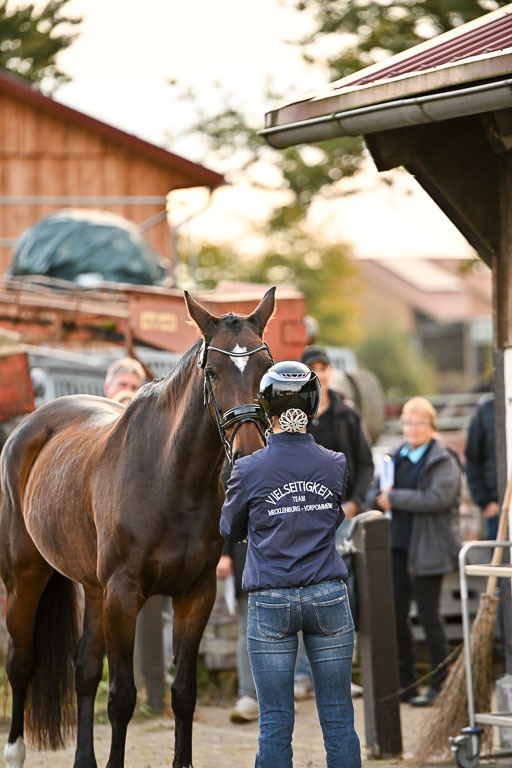 9-12.10.2025 Ströhen | Tessa Wilfert - Balestera _26 