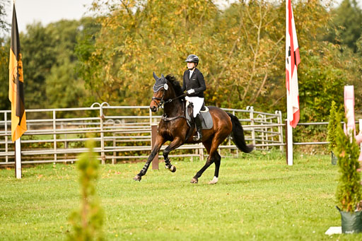 9-12.10.2025 Ströhen | Tessa Wilfert - Balestera _29 