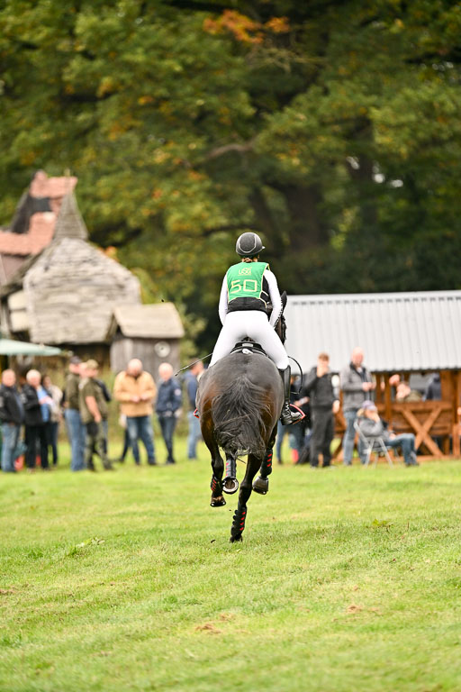 9-12.10.2025 Ströhen | maria Luisa Schunck - Liberty Hawk_18 