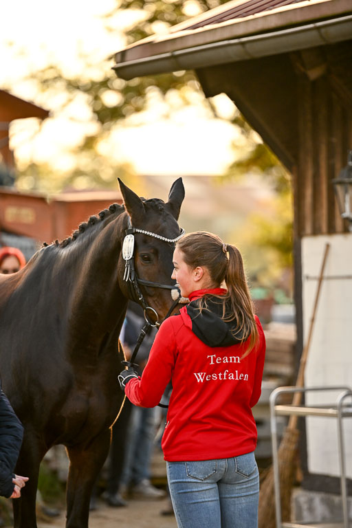 9-12.10.2025 Ströhen | maria Luisa Schunck - Liberty Hawk_21 