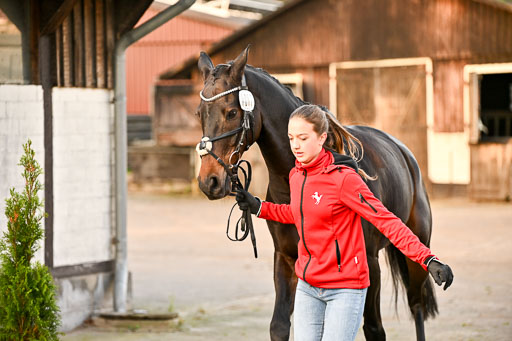 9-12.10.2025 Ströhen | maria Luisa Schunck - Liberty Hawk_24 