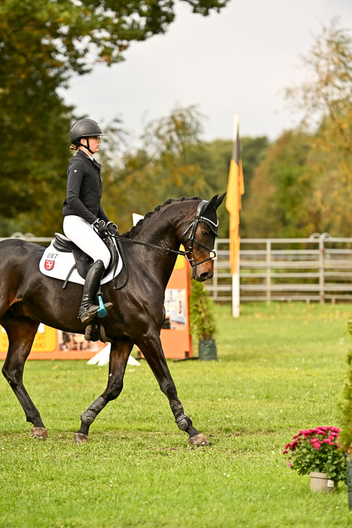 9-12.10.2025 Ströhen | maria Luisa Schunck - Liberty Hawk_26 