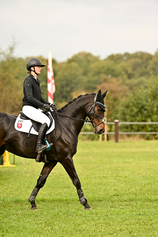 9-12.10.2025 Ströhen | maria Luisa Schunck - Liberty Hawk_27 