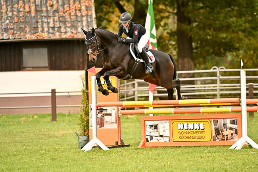 9-12.10.2025 Ströhen | maria Luisa Schunck - Liberty Hawk_29 
