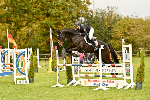 9-12.10.2025 Ströhen | maria Luisa Schunck - Liberty Hawk_30 