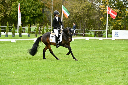 9-12.10.2025 Ströhen | Anna Katharina Thomasmeyer - Maximus_09 