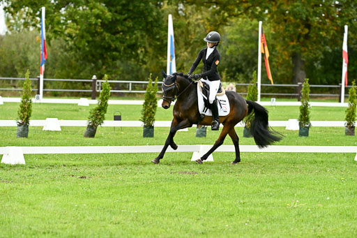 9-12.10.2025 Ströhen | Anna Katharina Thomasmeyer - Maximus_13 