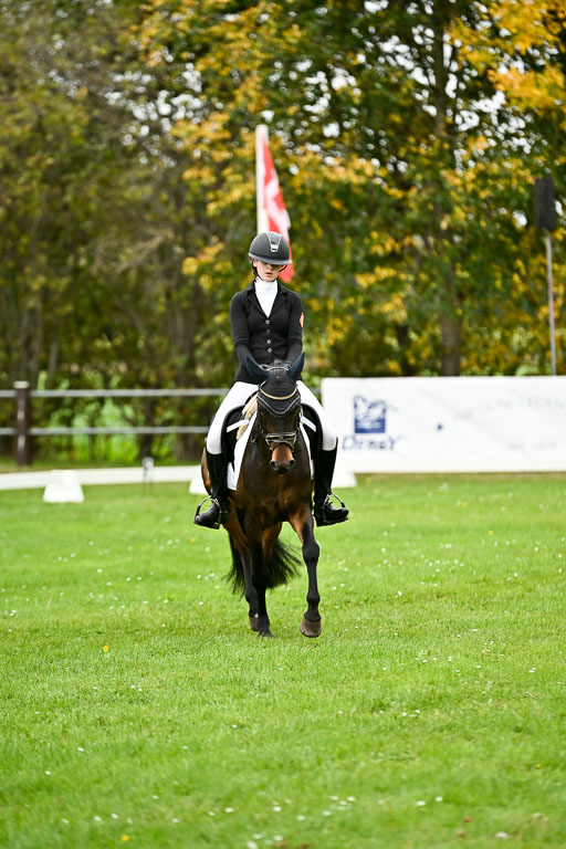 9-12.10.2025 Ströhen | Anna Katharina Thomasmeyer - Maximus_14 