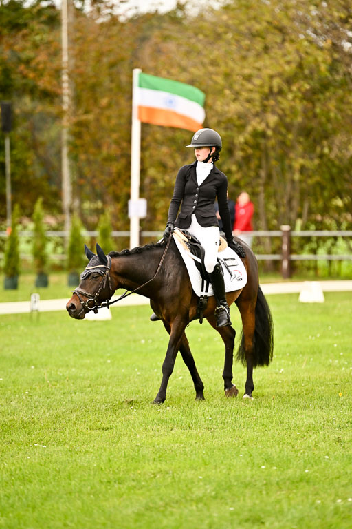 9-12.10.2025 Ströhen | Anna Katharina Thomasmeyer - Maximus_15 