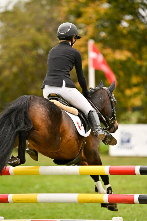 9-12.10.2025 Ströhen | Anna Katharina Thomasmeyer - Maximus_23 