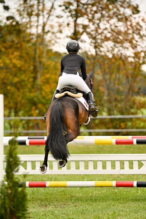 9-12.10.2025 Ströhen | Anna Katharina Thomasmeyer - Maximus_24 