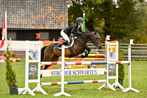 9-12.10.2025 Ströhen | Anna Katharina Thomasmeyer - Maximus_27 