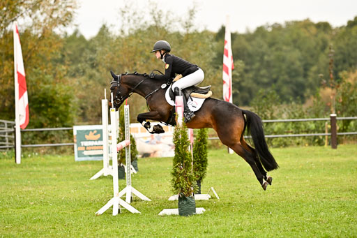 9-12.10.2025 Ströhen | Anna Katharina Thomasmeyer - Maximus_35 