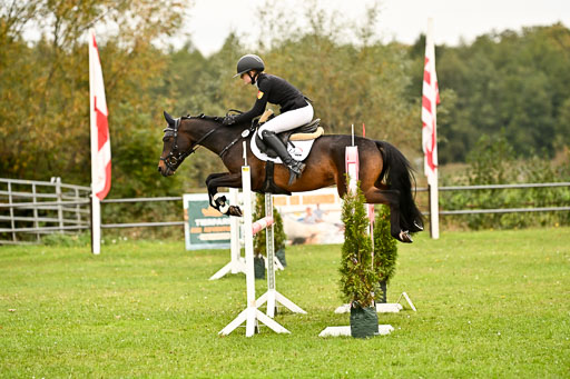 9-12.10.2025 Ströhen | Anna Katharina Thomasmeyer - Maximus_36 