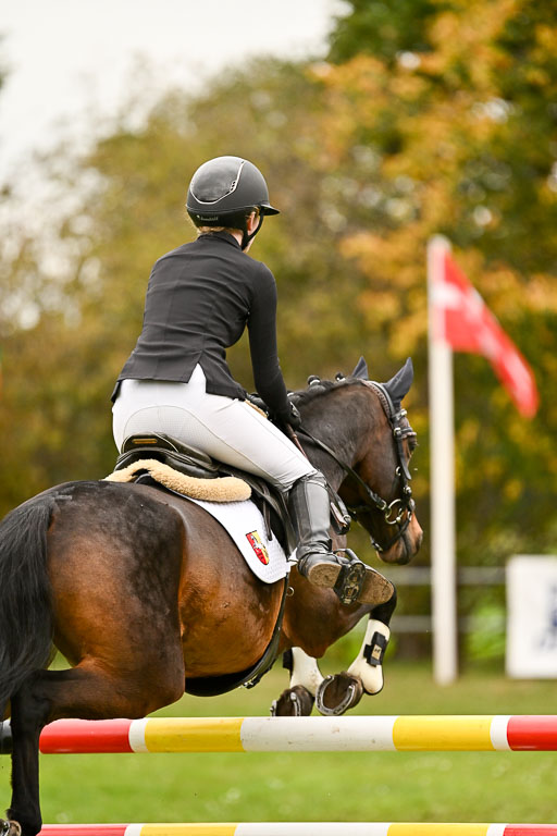 9-12.10.2025 Ströhen | Anna Katharina Thomasmeyer - Maximus_37 