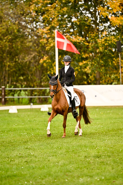 9-12.10.2025 Ströhen | Anna Katharina Thomasmeyer - Schwuppdiewupp _01 