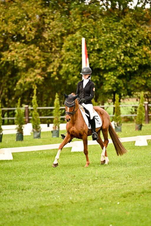9-12.10.2025 Ströhen | Anna Katharina Thomasmeyer - Schwuppdiewupp _03 