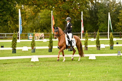 9-12.10.2025 Ströhen | Anna Katharina Thomasmeyer - Schwuppdiewupp _05 