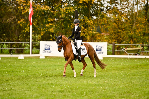 9-12.10.2025 Ströhen | Anna Katharina Thomasmeyer - Schwuppdiewupp _08 