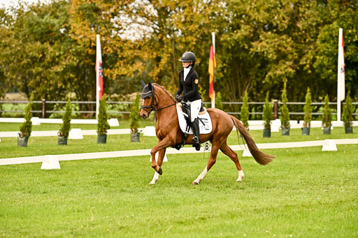 9-12.10.2025 Ströhen | Anna Katharina Thomasmeyer - Schwuppdiewupp _10 