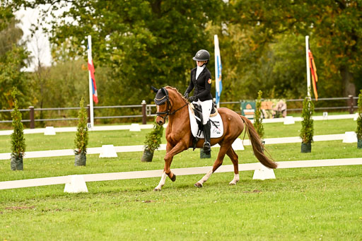 9-12.10.2025 Ströhen | Anna Katharina Thomasmeyer - Schwuppdiewupp _11 