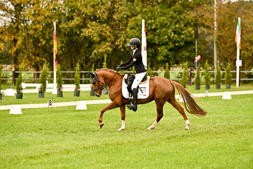 9-12.10.2025 Ströhen | Anna Katharina Thomasmeyer - Schwuppdiewupp _12 