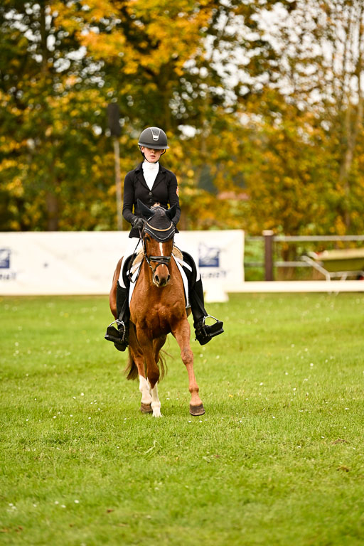 9-12.10.2025 Ströhen | Anna Katharina Thomasmeyer - Schwuppdiewupp _13 