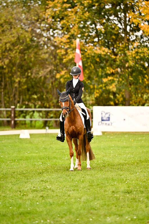 9-12.10.2025 Ströhen | Anna Katharina Thomasmeyer - Schwuppdiewupp _14 