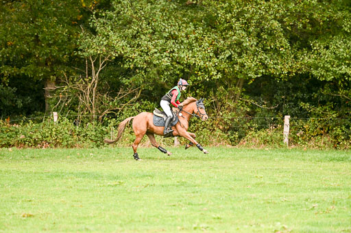 9-12.10.2025 Ströhen | Anna Katharina Thomasmeyer - Schwuppdiewupp _16 