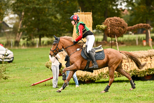 9-12.10.2025 Ströhen | Anna Katharina Thomasmeyer - Schwuppdiewupp _26 